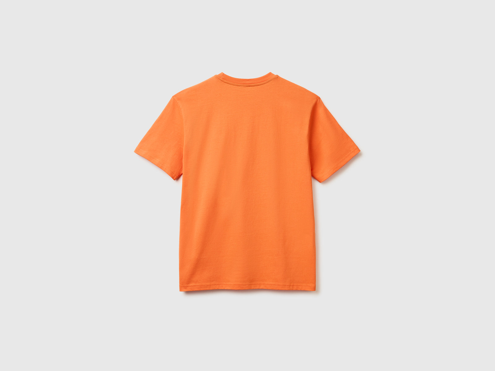 Organic cotton t-shirt - ucb_image_BS