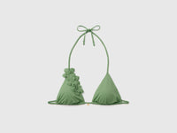 Sea triangle with flower application - ucb_image_FS