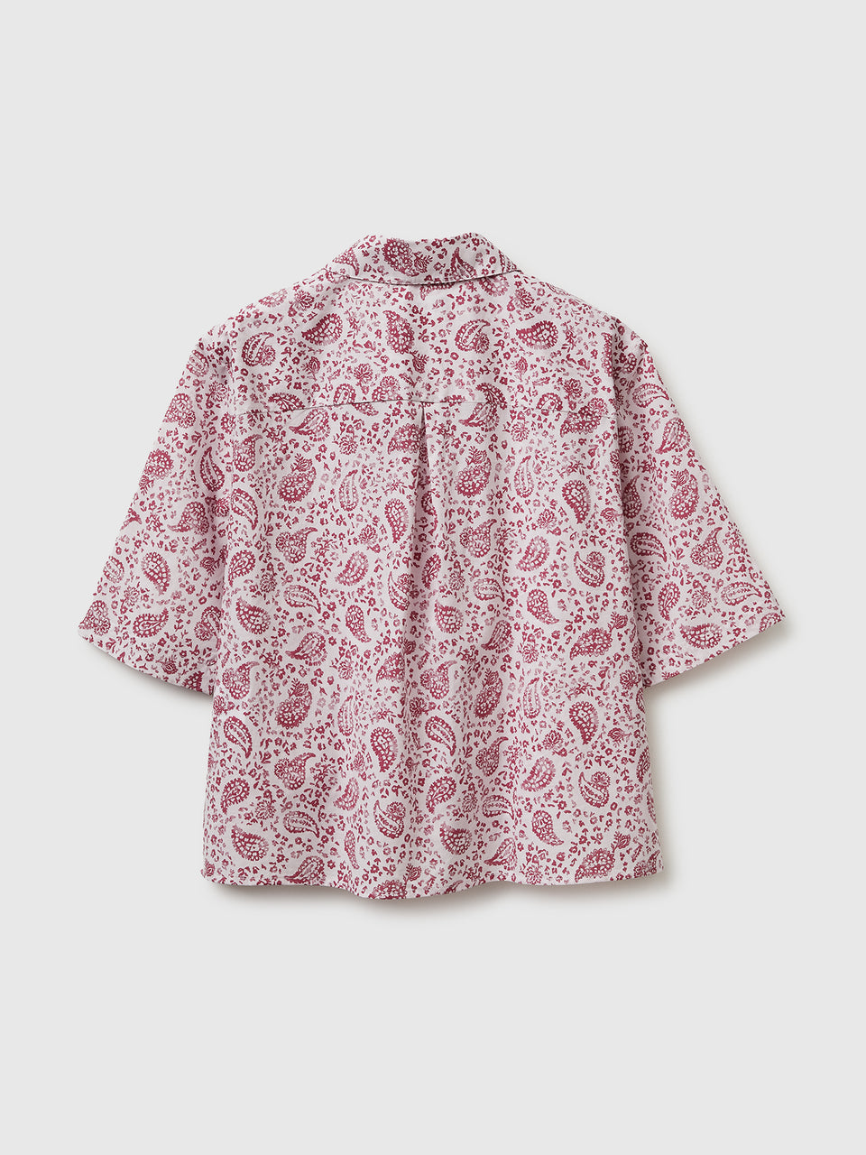 Camisa padrão de manga curta - ucb_image_BS