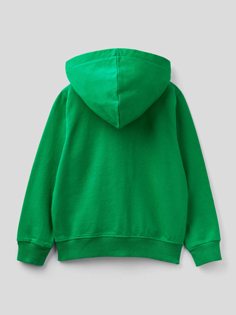 Sudadera con cremallera y capucha image number 2