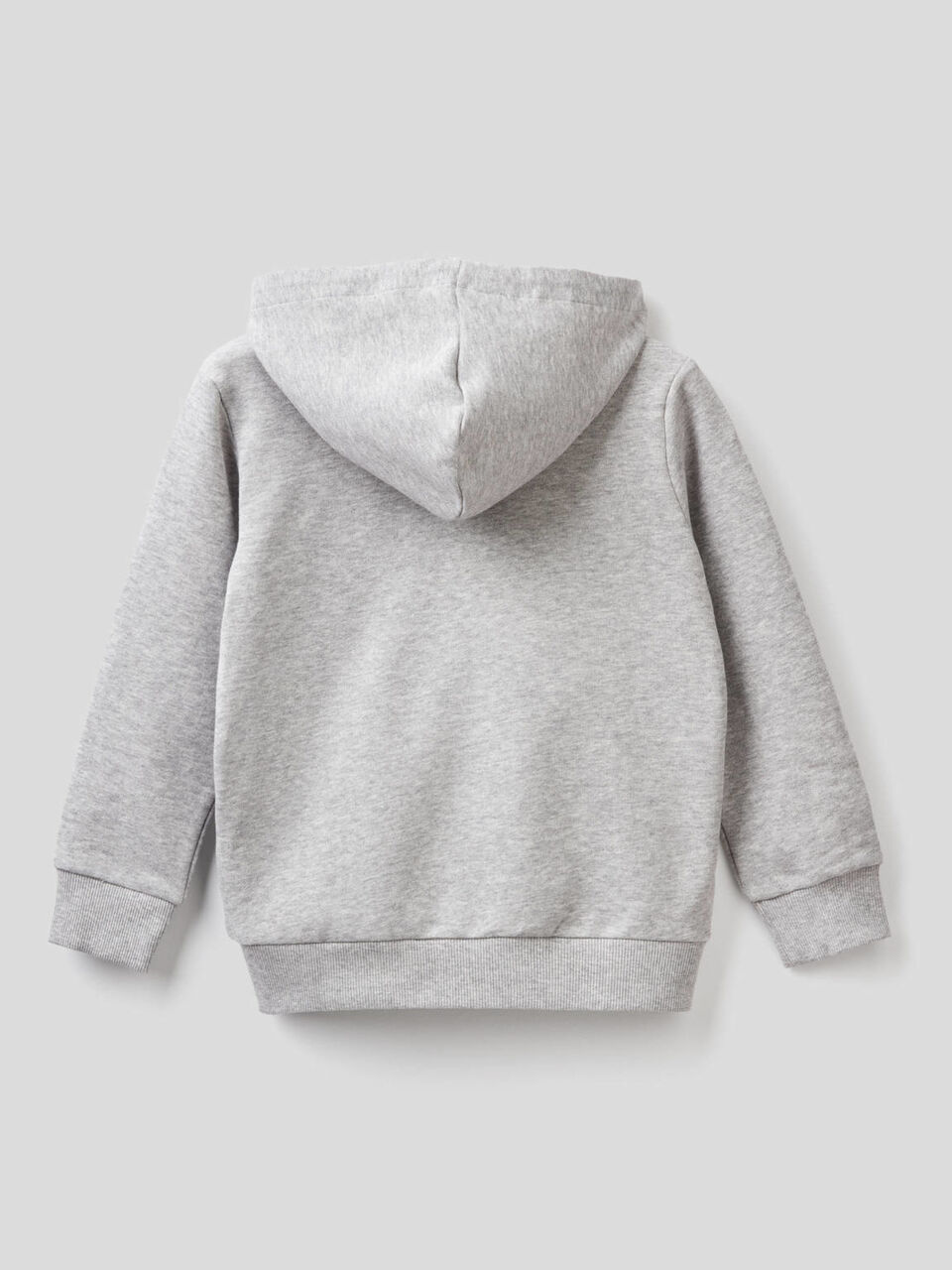 Sudadera con cremallera y capucha image number 2