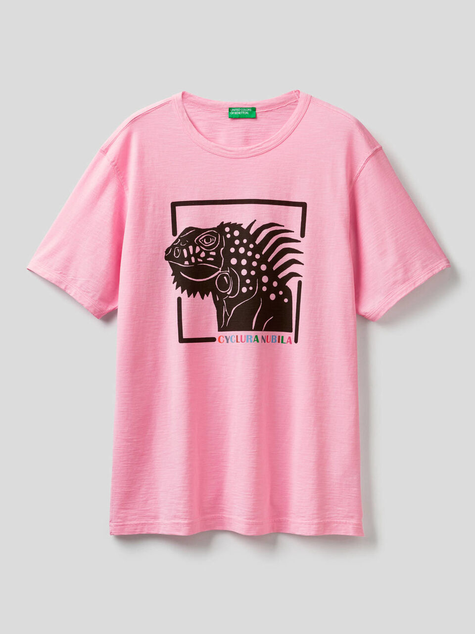 Camiseta de 100% algodón con estampado image number 1